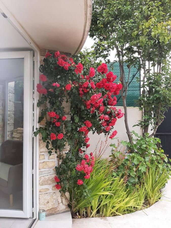 Appartement Climatise Au Calme En Provence Pierrefeu-du-Var Kültér fotó